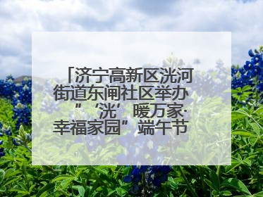 济宁高新区洸河街道东闸社区举办“‘洸’暖万家·幸福家园”端午节幸福集市活动