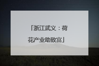 浙江武义：荷花产业助致富