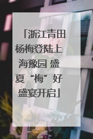 浙江青田杨梅登陆上海豫园 盛夏“梅”好盛宴开启