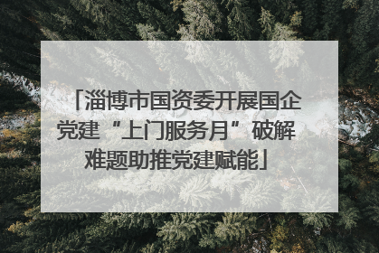 淄博市国资委开展国企党建“上门服务月”破解难题助推党建赋能