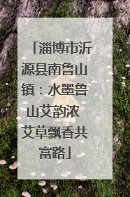 淄博市沂源县南鲁山镇：水墨鲁山艾韵浓 艾草飘香共富路