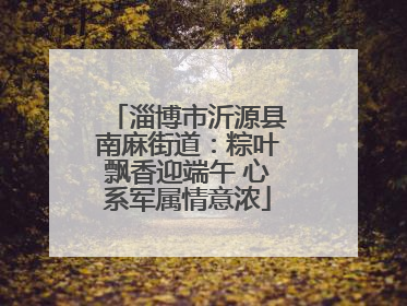 淄博市沂源县南麻街道：粽叶飘香迎端午 心系军属情意浓