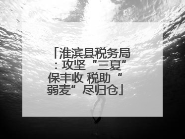 淮滨县税务局：攻坚“三夏”保丰收 税助“弱麦”尽归仓