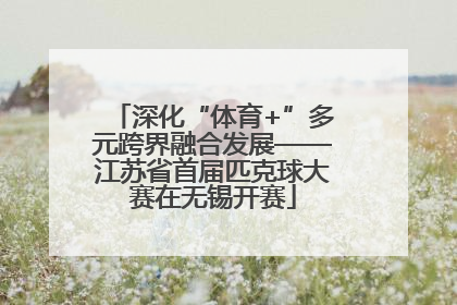 深化“体育+”多元跨界融合发展——江苏省首届匹克球大赛在无锡开赛