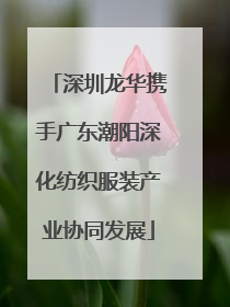 深圳龙华携手广东潮阳深化纺织服装产业协同发展