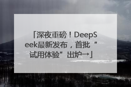 深夜重磅！DeepSeek最新发布，首批“试用体验”出炉→