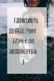 游船观鸟赏荷正当时 辽河七星湖景区开园