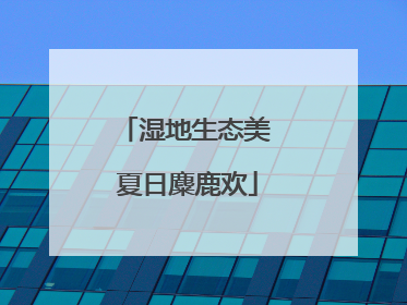 湿地生态美 夏日麋鹿欢