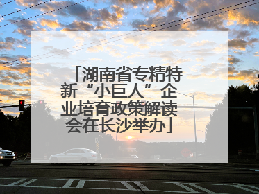 湖南省专精特新“小巨人”企业培育政策解读会在长沙举办