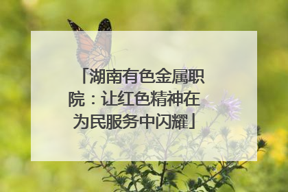 湖南有色金属职院：让红色精神在为民服务中闪耀