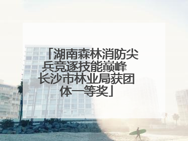湖南森林消防尖兵竞逐技能巅峰 长沙市林业局获团体一等奖