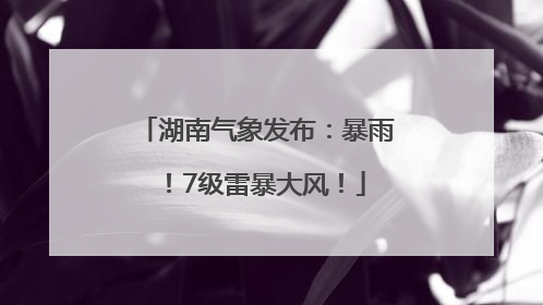 湖南气象发布：暴雨！7级雷暴大风！