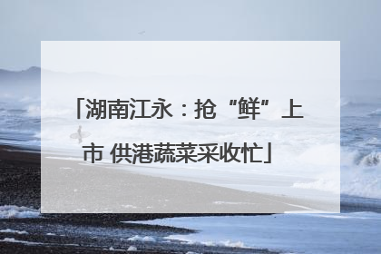 湖南江永：抢“鲜”上市 供港蔬菜采收忙
