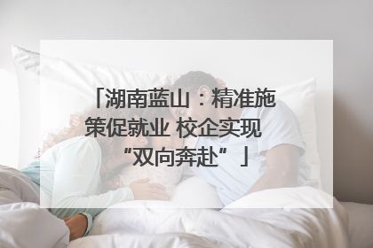湖南蓝山：精准施策促就业 校企实现“双向奔赴”