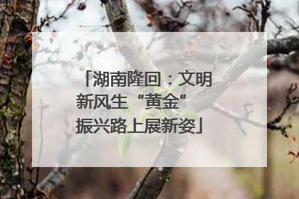 湖南隆回：文明新风生“黄金” 振兴路上展新姿