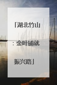 湖北竹山：金叶铺就振兴路