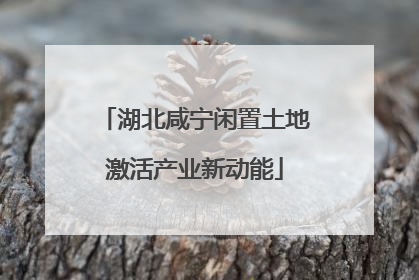 湖北咸宁闲置土地激活产业新动能