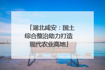 湖北咸安：国土综合整治助力打造现代农业高地