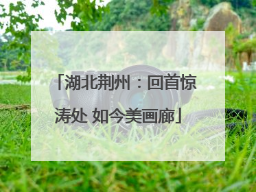 湖北荆州：回首惊涛处 如今美画廊