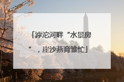 滹沱河畔“水景房”，崖沙燕育雏忙