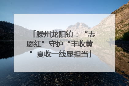 滕州龙阳镇：“志愿红”守护“丰收黄”夏收一线显担当