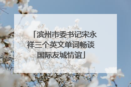 滨州市委书记宋永祥三个英文单词畅谈国际友城情谊