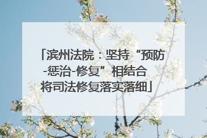 滨州法院：坚持“预防-惩治-修复”相结合 将司法修复落实落细