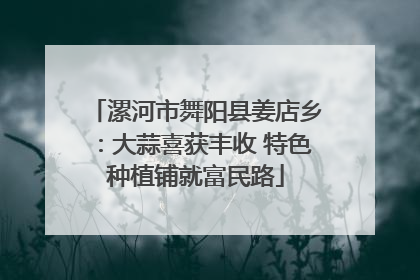 漯河市舞阳县姜店乡：大蒜喜获丰收 特色种植铺就富民路