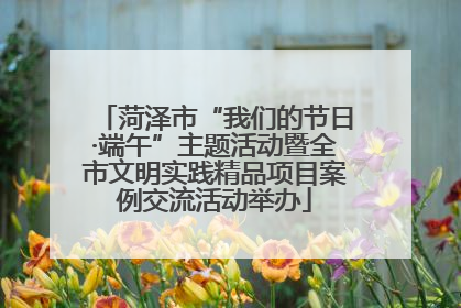 菏泽市“我们的节日·端午”主题活动暨全市文明实践精品项目案例交流活动举办