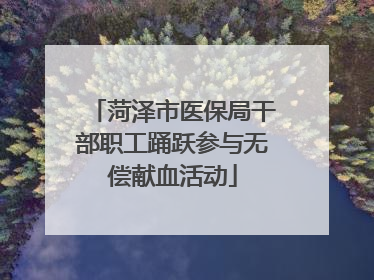 菏泽市医保局干部职工踊跃参与无偿献血活动