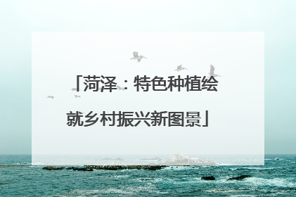 菏泽：特色种植绘就乡村振兴新图景