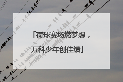 荷球赛场燃梦想，万科少年创佳绩