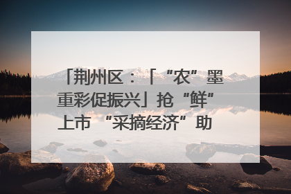 荆州区：「“农”墨重彩促振兴」抢“鲜”上市 “采摘经济”助农“甜蜜增收”