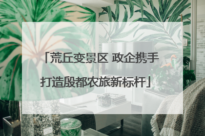 荒丘变景区 政企携手打造殷都农旅新标杆
