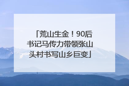 荒山生金！90后书记马传力带领张山头村书写山乡巨变