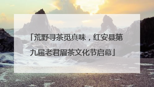 荒野寻茶觅真味，红安县第九届老君眉茶文化节启幕
