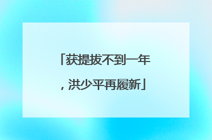 获提拔不到一年，洪少平再履新