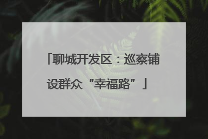 聊城开发区：巡察铺设群众“幸福路”