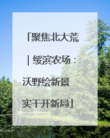 聚焦北大荒｜绥滨农场：沃野绘新景 实干开新局