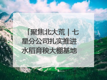聚焦北大荒｜七星分公司扎实推进水稻育秧大棚基地清理整治工作