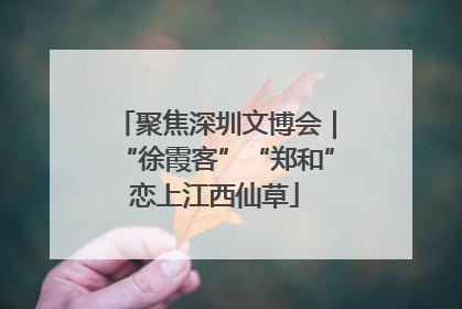 聚焦深圳文博会｜“徐霞客”“郑和”恋上江西仙草