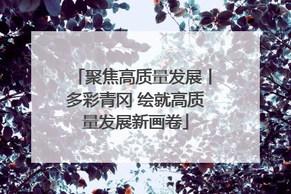 聚焦高质量发展丨多彩青冈 绘就高质量发展新画卷
