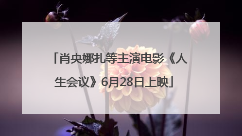 肖央娜扎等主演电影《人生会议》6月28日上映