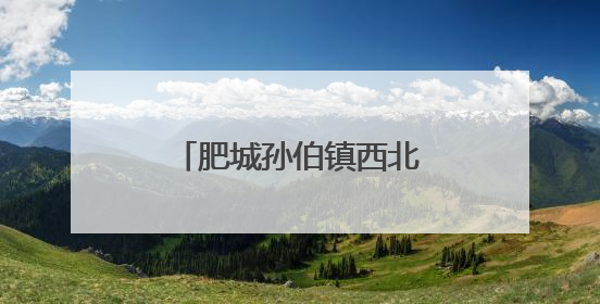 肥城孙伯镇西北角村：洋葱丰收圆百姓致富梦