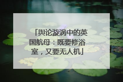 舆论漩涡中的英国航母：既要修浴室，又要无人机