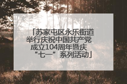 苏家屯区永乐街道举行庆祝中国共产党成立104周年暨庆“七一”系列活动