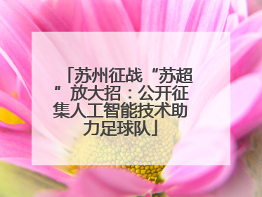 苏州征战“苏超”放大招：公开征集人工智能技术助力足球队