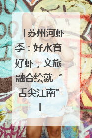 苏州河虾季：好水育好虾，文旅融合绘就“舌尖江南”