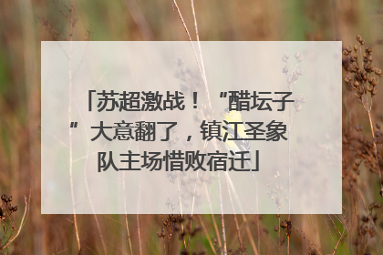 苏超激战！“醋坛子”大意翻了，镇江圣象队主场惜败宿迁