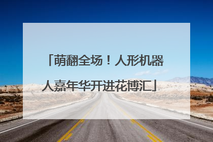萌翻全场！人形机器人嘉年华开进花博汇